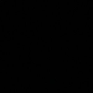 Meet your Posher, Miles